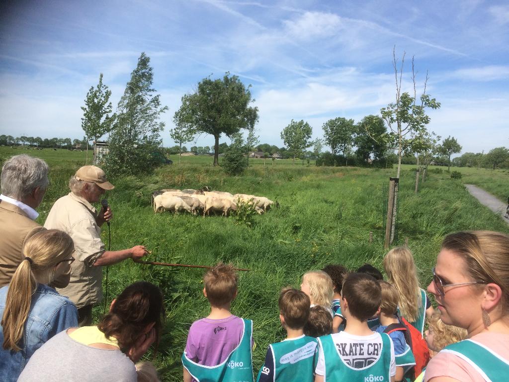 Als Streekfan geeft u waarde aan uw omgeving - Radio Stad Montfoort