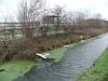 Bestandsnaam=APDC0572.jpg
Bestandsgrootte=2865KiB
Afmetingen = 2048x1536
Datum toegevoegd = 18 jan 2018 APDC0572.jpg