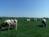 Bestandsnaam=APDC0821.jpg
Bestandsgrootte=2260KiB
Afmetingen = 2048x1536
Datum toegevoegd = 21 apr 2018 APDC0821.jpg