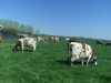 Bestandsnaam=APDC0825.jpg
Bestandsgrootte=2496KiB
Afmetingen = 2048x1536
Datum toegevoegd = 21 apr 2018 APDC0825.jpg