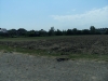 Bestandsnaam=APDC1043.jpg
Bestandsgrootte=2230KiB
Afmetingen = 2048x1536
Datum toegevoegd = 04 jul 2018 APDC1043.jpg
