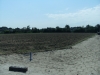 Bestandsnaam=APDC1044.jpg
Bestandsgrootte=2225KiB
Afmetingen = 2048x1536
Datum toegevoegd = 04 jul 2018 APDC1044.jpg