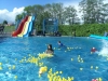 Bestandsnaam=APDC1669.jpg
Bestandsgrootte=3198KiB
Afmetingen = 2048x1536
Datum toegevoegd = 04 mei 2019 APDC1669.jpg