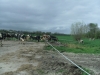 Bestandsnaam=APDC1743.jpg
Bestandsgrootte=2326KiB
Afmetingen = 2048x1536
Datum toegevoegd = 06 apr 2017 APDC1743.jpg
