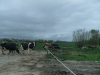 Bestandsnaam=APDC1748.jpg
Bestandsgrootte=2095KiB
Afmetingen = 2048x1536
Datum toegevoegd = 06 apr 2017 APDC1748.jpg