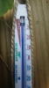 thermometer.jpg