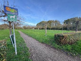 Uitkomst evaluatie hondenlosloopgebied stadspark